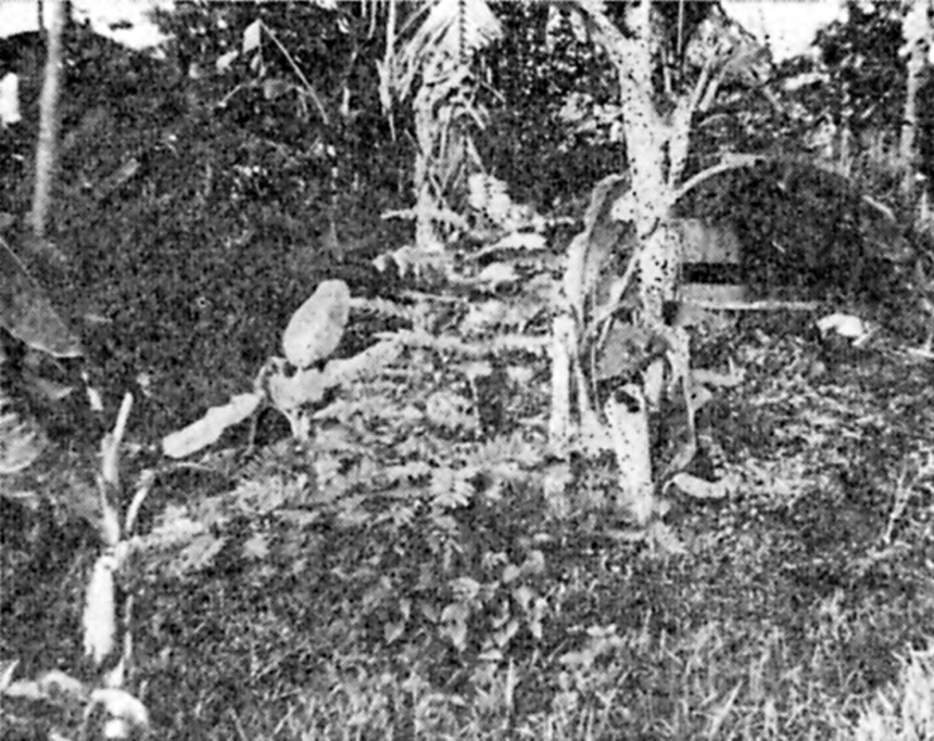 CIATER STELLING BAGIAN 1: KEJATUHAN CIATER